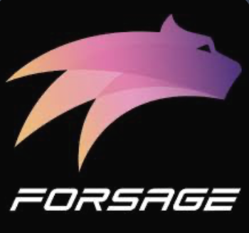 Is Forsage A Pyramid Scheme – MLM Crypto Review